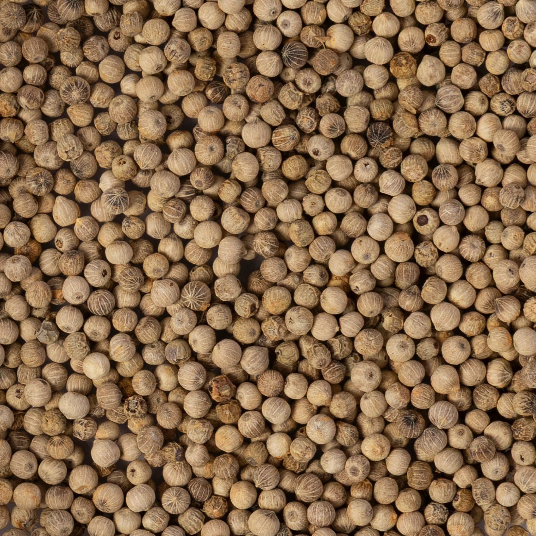 Fresh White Pepper